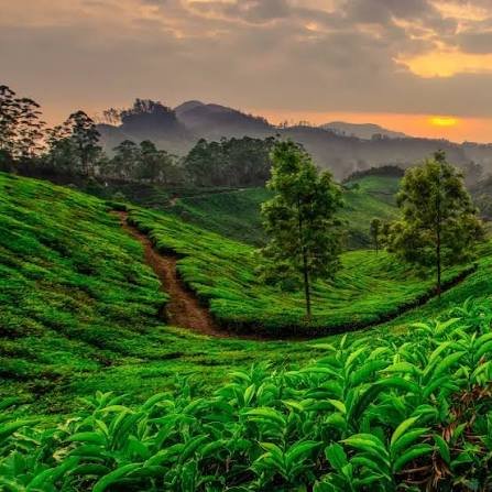 Kerala