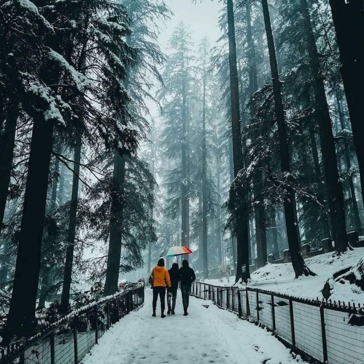 Shimla Manali Tour Package – 6 Days / 5 Nights