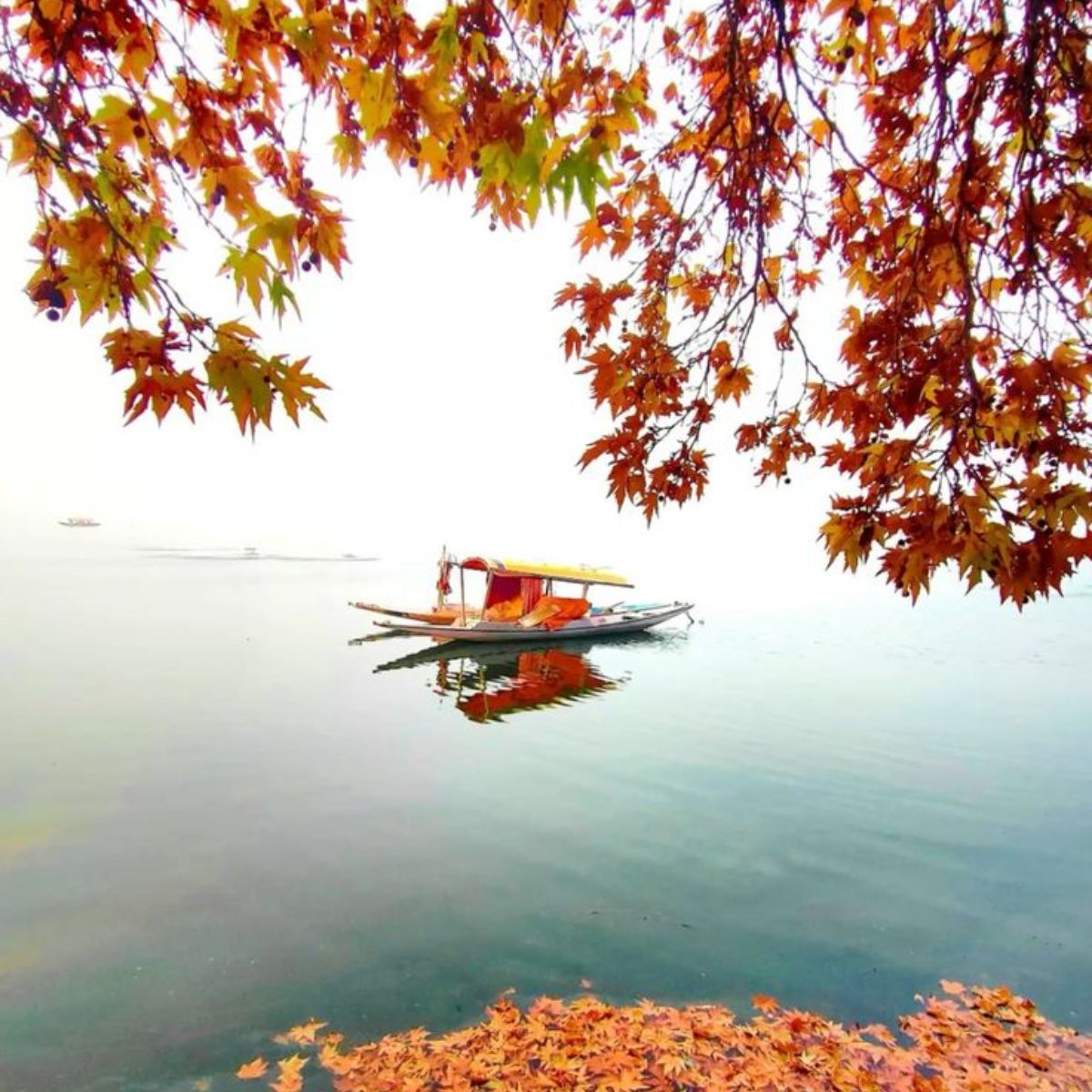 Kashmir Heaven on Earth Tour Package – 6 Days / 5 Nights