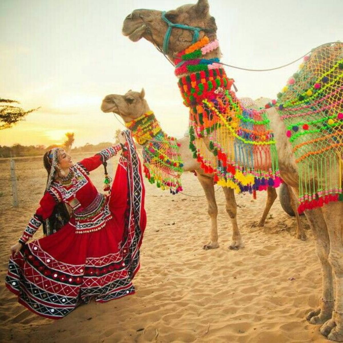 Rajasthan Tour Package – 7 Days / 6 Nights