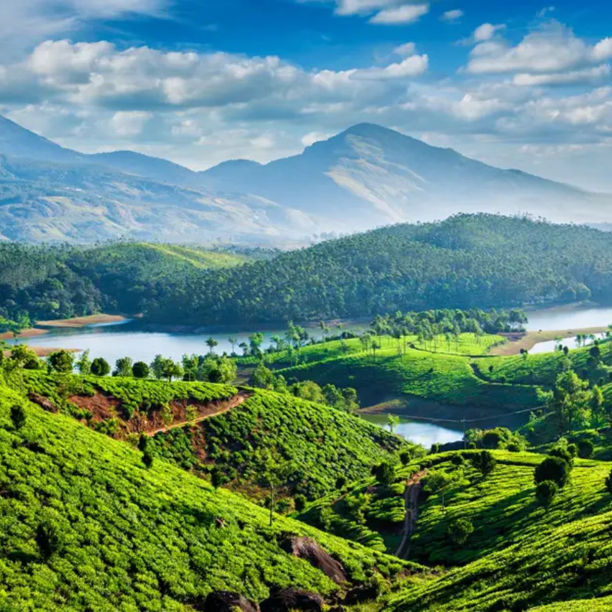 Kerala Tour Package – 3 Nights / 4 Days