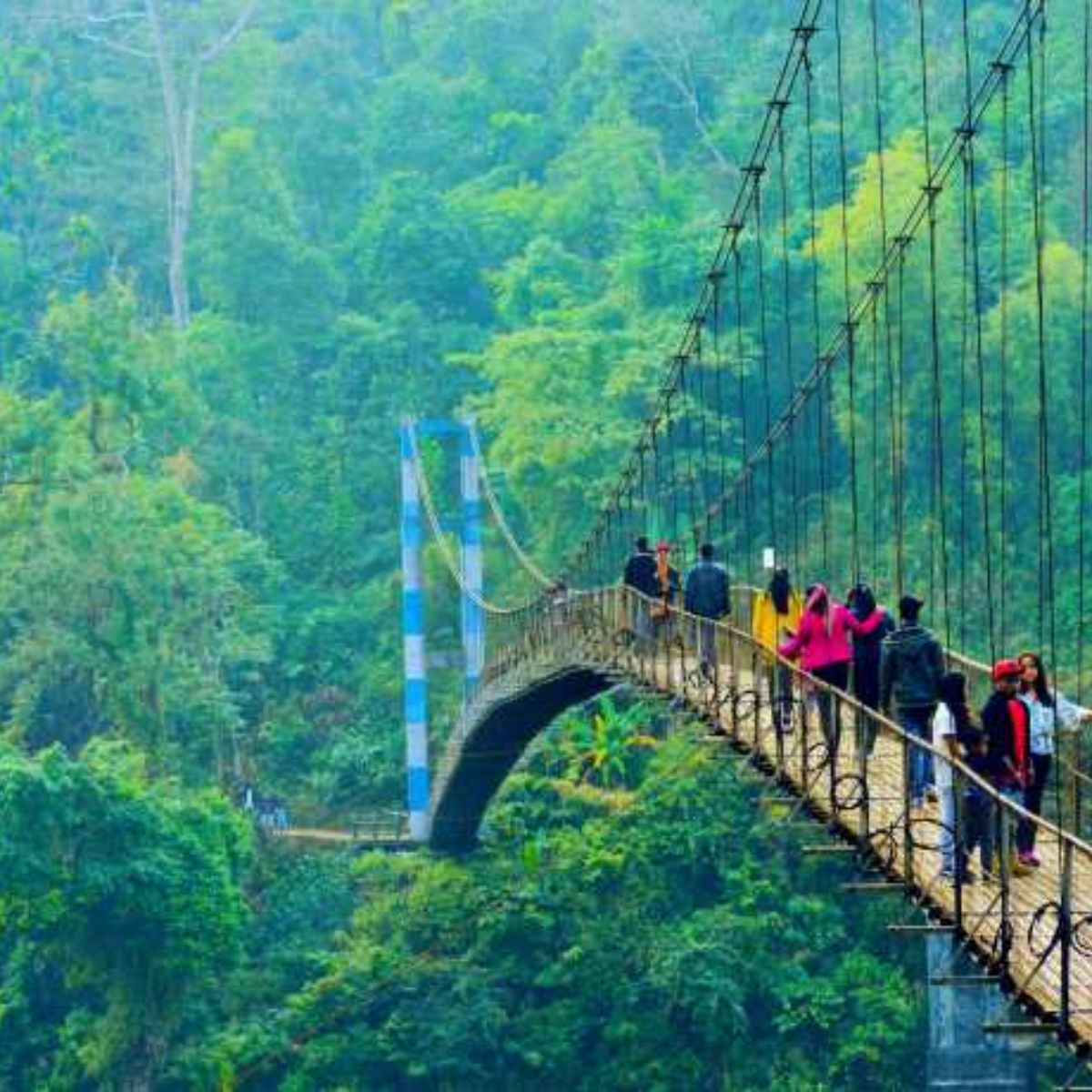 Meghalaya Delight Tour Package – 4 Nights / 5 Days